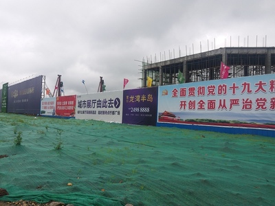 【第一次拍卖】唐静持有的四川省安岳县宏鑫房地产开发49%的股权