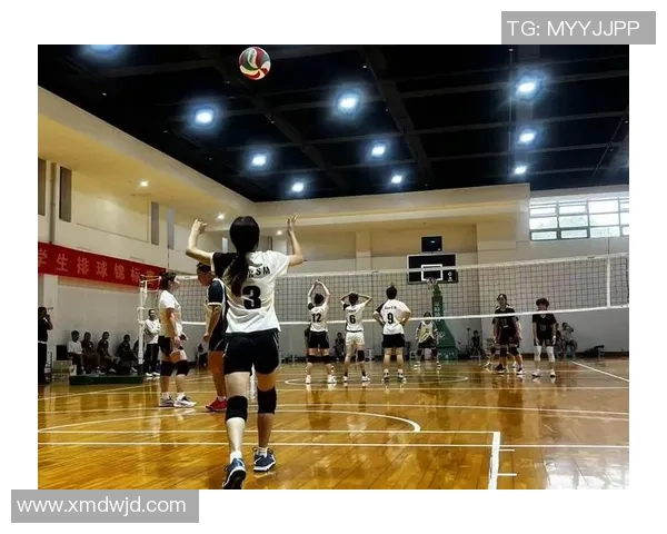 成都排球队在排球比赛中取得新突破经验排名创新高引发广泛关注