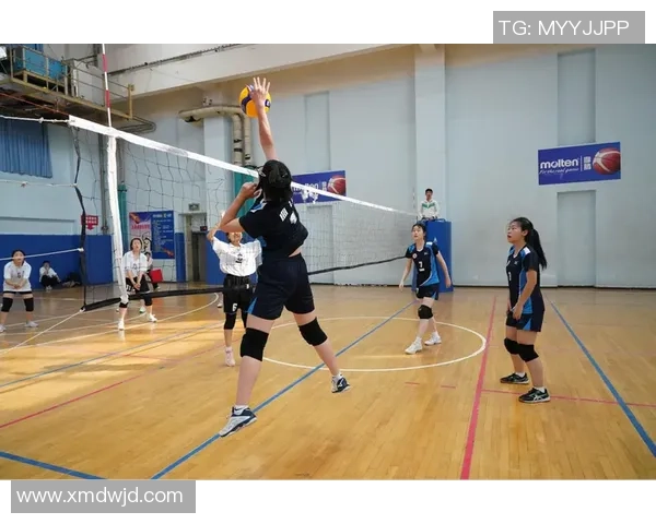 排球盛宴:深入了解西安排球队的实力与魅力 排球盛宴:深入了解西安排球队的实力与魅力