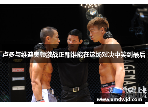 卢多与维迪奥顿激战正酣谁能在这场对决中笑到最后